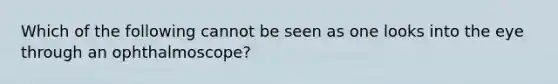 Which of the following cannot be seen as one looks into the eye through an ophthalmoscope?