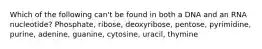 Which of the following can't be found in both a DNA and an RNA nucleotide? Phosphate, ribose, deoxyribose, pentose, pyrimidine, purine, adenine, guanine, cytosine, uracil, thymine