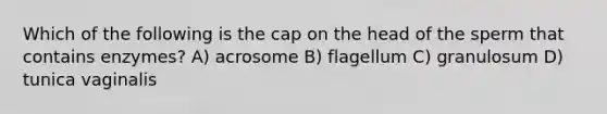 Which of the following is the cap on the head of the sperm that contains enzymes? A) acrosome B) flagellum C) granulosum D) tunica vaginalis