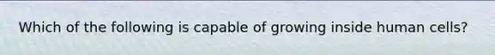 Which of the following is capable of growing inside human cells?