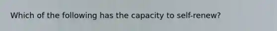 Which of the following has the capacity to self-renew?