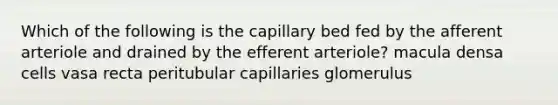 Which of the following is the capillary bed fed by the afferent arteriole and drained by the efferent arteriole? macula densa cells vasa recta peritubular capillaries glomerulus