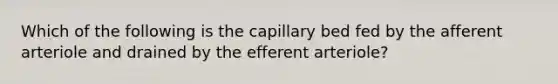 Which of the following is the capillary bed fed by the afferent arteriole and drained by the efferent arteriole?