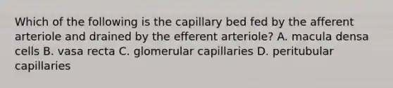 Which of the following is the capillary bed fed by the afferent arteriole and drained by the efferent arteriole? A. macula densa cells B. vasa recta C. glomerular capillaries D. peritubular capillaries