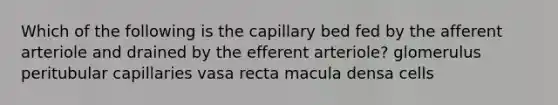 Which of the following is the capillary bed fed by the afferent arteriole and drained by the efferent arteriole? glomerulus peritubular capillaries vasa recta macula densa cells