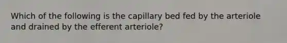 Which of the following is the capillary bed fed by the arteriole and drained by the efferent arteriole?