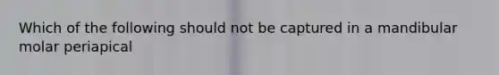 Which of the following should not be captured in a mandibular molar periapical