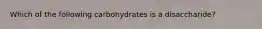 Which of the following carbohydrates is a disaccharide?