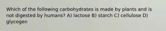 Which of the following carbohydrates is made by plants and is not digested by humans? A) lactose B) starch C) cellulose D) glycogen