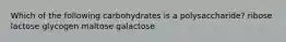 Which of the following carbohydrates is a polysaccharide? ribose lactose glycogen maltose galactose