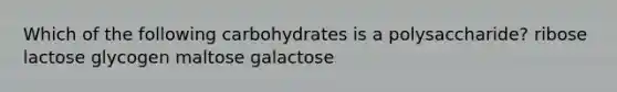 Which of the following carbohydrates is a polysaccharide? ribose lactose glycogen maltose galactose