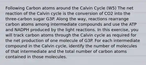 Following Carbon atoms around the Calvin Cycle (W5) The net reaction of the Calvin cycle is the conversion of CO2 into the three-carbon sugar G3P. Along the way, reactions rearrange carbon atoms among intermediate compounds and use the ATP and NADPH produced by the light reactions. In this exercise, you will track carbon atoms through the Calvin cycle as required for the net production of one molecule of G3P. For each intermediate compound in the Calvin cycle, identify the number of molecules of that intermediate and the total number of carbon atoms contained in those molecules.