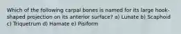 Which of the following carpal bones is named for its large hook-shaped projection on its anterior surface? a) Lunate b) Scaphoid c) Triquetrum d) Hamate e) Pisiform