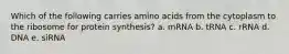 Which of the following carries amino acids from the cytoplasm to the ribosome for protein synthesis? a. mRNA b. tRNA c. rRNA d. DNA e. siRNA