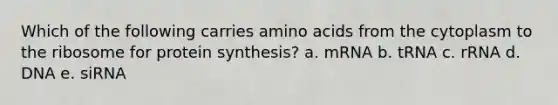 Which of the following carries amino acids from the cytoplasm to the ribosome for protein synthesis? a. mRNA b. tRNA c. rRNA d. DNA e. siRNA