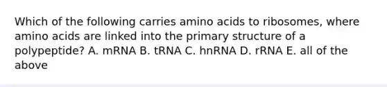 Which of the following carries <a href='https://www.questionai.com/knowledge/k9gb720LCl-amino-acids' class='anchor-knowledge'>amino acids</a> to ribosomes, where amino acids are linked into the <a href='https://www.questionai.com/knowledge/knHR7ecP3u-primary-structure' class='anchor-knowledge'>primary structure</a> of a polypeptide? A. mRNA B. tRNA C. hnRNA D. rRNA E. all of the above