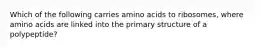 Which of the following carries amino acids to ribosomes, where amino acids are linked into the primary structure of a polypeptide?