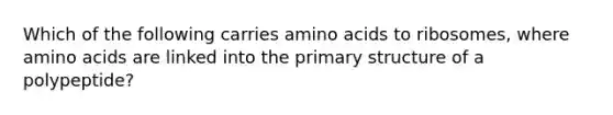 Which of the following carries amino acids to ribosomes, where amino acids are linked into the primary structure of a polypeptide?