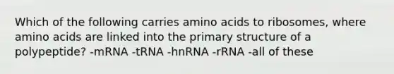 Which of the following carries <a href='https://www.questionai.com/knowledge/k9gb720LCl-amino-acids' class='anchor-knowledge'>amino acids</a> to ribosomes, where amino acids are linked into the <a href='https://www.questionai.com/knowledge/knHR7ecP3u-primary-structure' class='anchor-knowledge'>primary structure</a> of a polypeptide? -mRNA -tRNA -hnRNA -rRNA -all of these