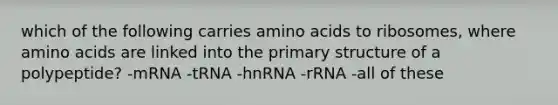 which of the following carries <a href='https://www.questionai.com/knowledge/k9gb720LCl-amino-acids' class='anchor-knowledge'>amino acids</a> to ribosomes, where amino acids are linked into the <a href='https://www.questionai.com/knowledge/knHR7ecP3u-primary-structure' class='anchor-knowledge'>primary structure</a> of a polypeptide? -mRNA -tRNA -hnRNA -rRNA -all of these