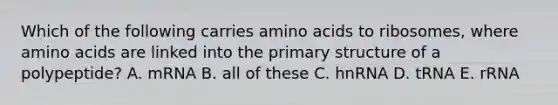 Which of the following carries amino acids to ribosomes, where amino acids are linked into the primary structure of a polypeptide? A. mRNA B. all of these C. hnRNA D. tRNA E. rRNA