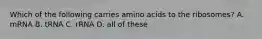 Which of the following carries amino acids to the ribosomes? A. mRNA B. tRNA C. rRNA D. all of these