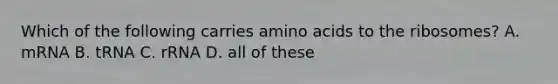 Which of the following carries amino acids to the ribosomes? A. mRNA B. tRNA C. rRNA D. all of these