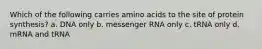 Which of the following carries amino acids to the site of protein synthesis? a. DNA only b. messenger RNA only c. tRNA only d. mRNA and tRNA