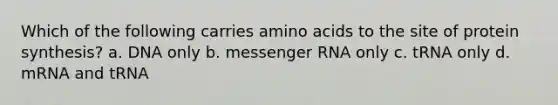 Which of the following carries amino acids to the site of protein synthesis? a. DNA only b. messenger RNA only c. tRNA only d. mRNA and tRNA