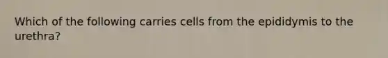 Which of the following carries cells from the epididymis to the urethra?