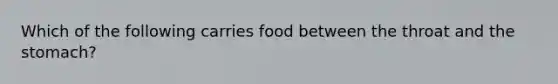 Which of the following carries food between the throat and the stomach?