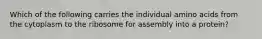 Which of the following carries the individual amino acids from the cytoplasm to the ribosome for assembly into a protein?