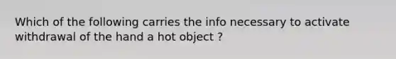 Which of the following carries the info necessary to activate withdrawal of the hand a hot object ?