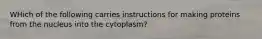 WHich of the following carries instructions for making proteins from the nucleus into the cytoplasm?