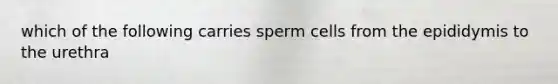 which of the following carries sperm cells from the epididymis to the urethra