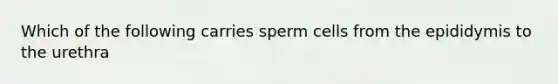 Which of the following carries sperm cells from the epididymis to the urethra