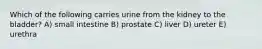 Which of the following carries urine from the kidney to the bladder? A) small intestine B) prostate C) liver D) ureter E) urethra