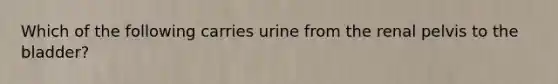 Which of the following carries urine from the renal pelvis to the bladder?