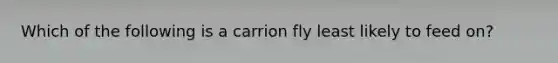 Which of the following is a carrion fly least likely to feed on?