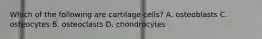 Which of the following are cartilage cells? A. osteoblasts C. osteocytes B. osteoclasts D. chondrocytes