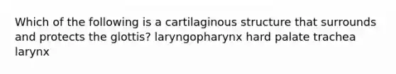 Which of the following is a cartilaginous structure that surrounds and protects the glottis? laryngopharynx hard palate trachea larynx