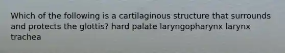 Which of the following is a cartilaginous structure that surrounds and protects the glottis? hard palate laryngopharynx larynx trachea