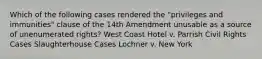 Which of the following cases rendered the "privileges and immunities" clause of the 14th Amendment unusable as a source of unenumerated rights? West Coast Hotel v. Parrish Civil Rights Cases Slaughterhouse Cases Lochner v. New York