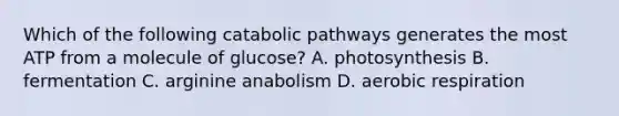 Which of the following catabolic pathways generates the most ATP from a molecule of glucose? A. photosynthesis B. fermentation C. arginine anabolism D. aerobic respiration