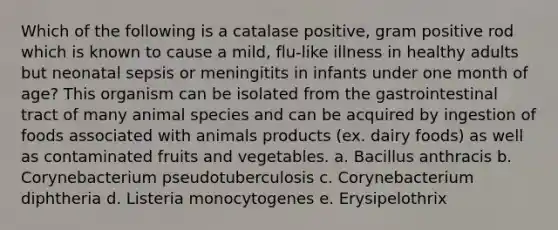 Which of the following is a catalase positive, gram positive rod which is known to cause a mild, flu-like illness in healthy adults but neonatal sepsis or meningitits in infants under one month of age? This organism can be isolated from the gastrointestinal tract of many animal species and can be acquired by ingestion of foods associated with animals products (ex. dairy foods) as well as contaminated fruits and vegetables. a. Bacillus anthracis b. Corynebacterium pseudotuberculosis c. Corynebacterium diphtheria d. Listeria monocytogenes e. Erysipelothrix