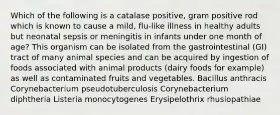 Which of the following is a catalase positive, gram positive rod which is known to cause a mild, flu‑like illness in healthy adults but neonatal sepsis or meningitis in infants under one month of age? This organism can be isolated from the gastrointestinal (GI) tract of many animal species and can be acquired by ingestion of foods associated with animal products (dairy foods for example) as well as contaminated fruits and vegetables. Bacillus anthracis Corynebacterium pseudotuberculosis Corynebacterium diphtheria Listeria monocytogenes Erysipelothrix rhusiopathiae