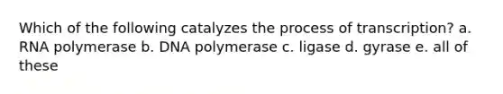 Which of the following catalyzes the process of transcription? a. RNA polymerase b. DNA polymerase c. ligase d. gyrase e. all of these