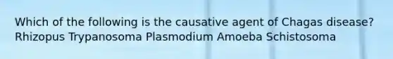 Which of the following is the causative agent of Chagas disease? Rhizopus Trypanosoma Plasmodium Amoeba Schistosoma