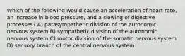 Which of the following would cause an acceleration of heart rate, an increase in blood pressure, and a slowing of digestive processes? A) parasympathetic division of the autonomic nervous system B) sympathetic division of the autonomic nervous system C) motor division of the somatic nervous system D) sensory branch of the central nervous system