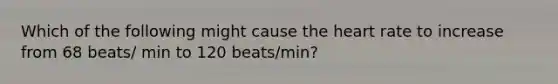 Which of the following might cause the heart rate to increase from 68 beats/ min to 120 beats/min?